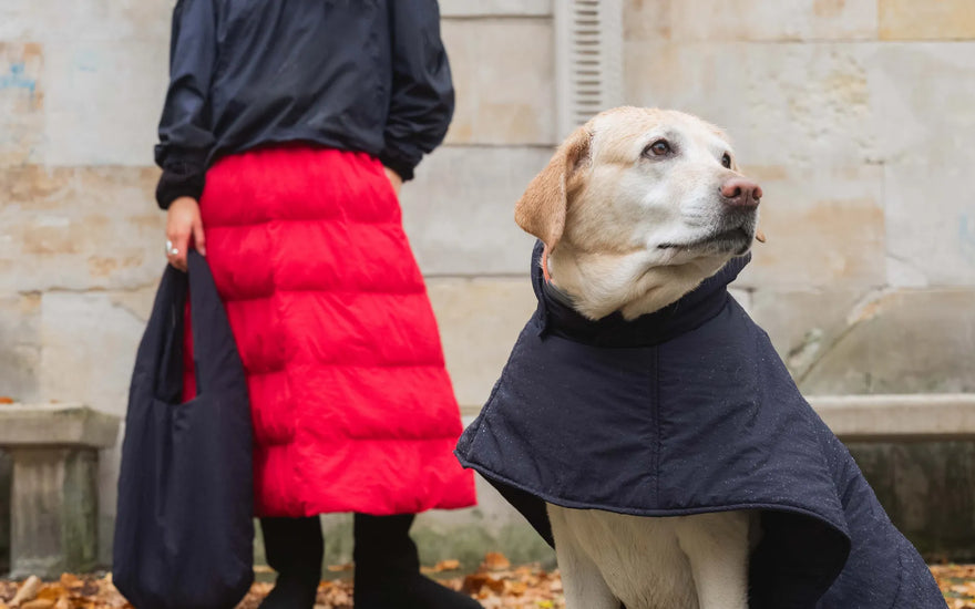 How to Care for Your Vegan Shoes - So They Last for Years