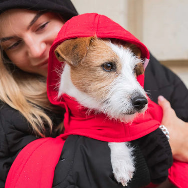 Dog Hoodie Red