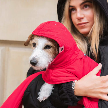 Dog Hoodie Red