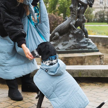 Dog Hoodie Sky Blue