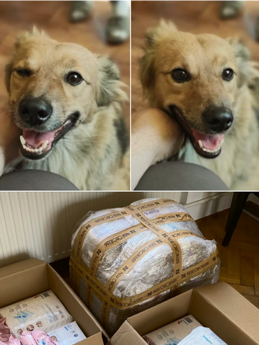 Two photos of dog and packages ready to shipment