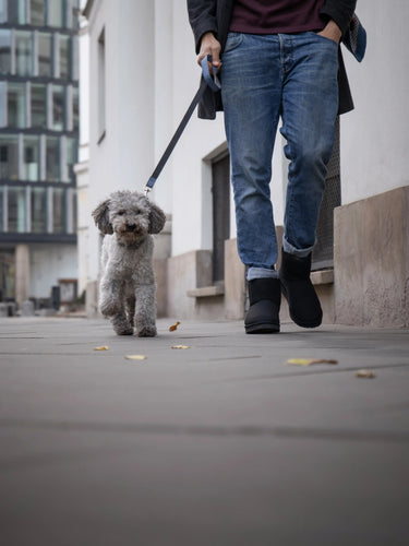 Person walking a dog on a leash in an urban setting