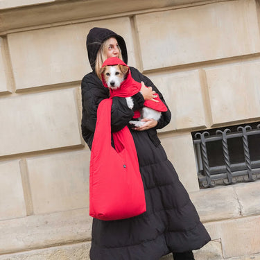 Person wearing a black coat with black skirt holding a small dog, standing against a beige wall.