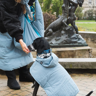Person in a long light blue skirt with a dog wearing a matching coat, standing in an outdoor setting with a statue in the background.